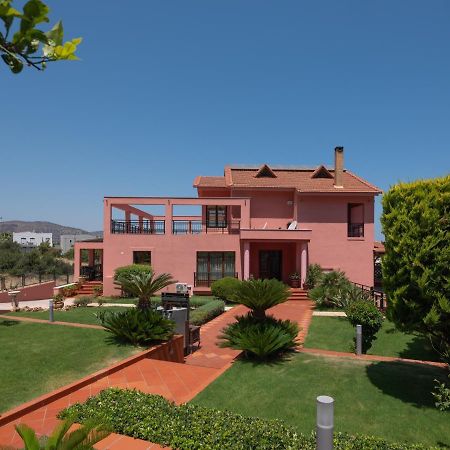 Villa Greco Hersonissos  Eksteriør billede